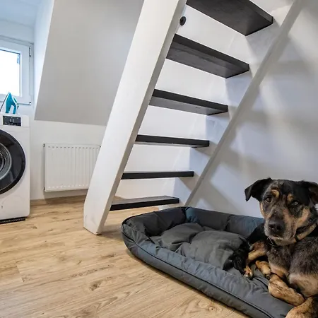 Apartament 110 Qm Penthousewohnung Bei Bonn / Koeln Lohmar