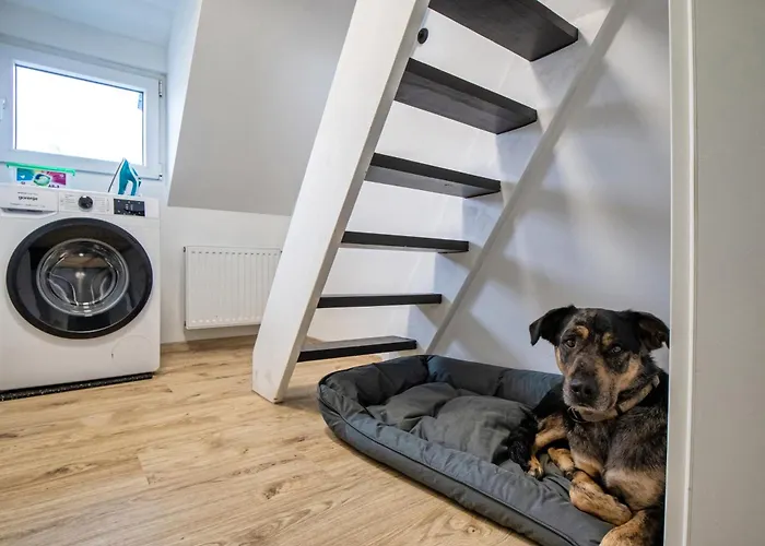 Appartement 110 Qm Penthousewohnung Bei Bonn / Koeln Lohmar